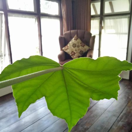 Rumah Pakankamih Bukittinggi Esterno foto