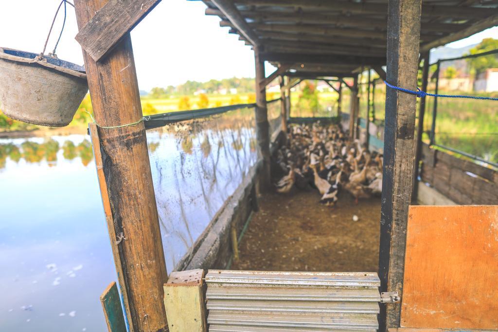 Rumah Pakankamih Bukittinggi Esterno foto