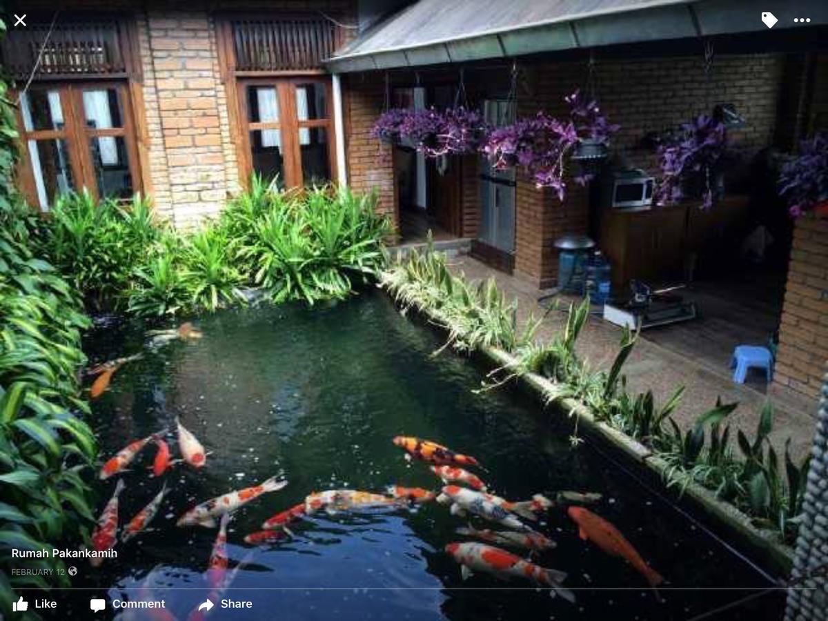 Rumah Pakankamih Bukittinggi Esterno foto