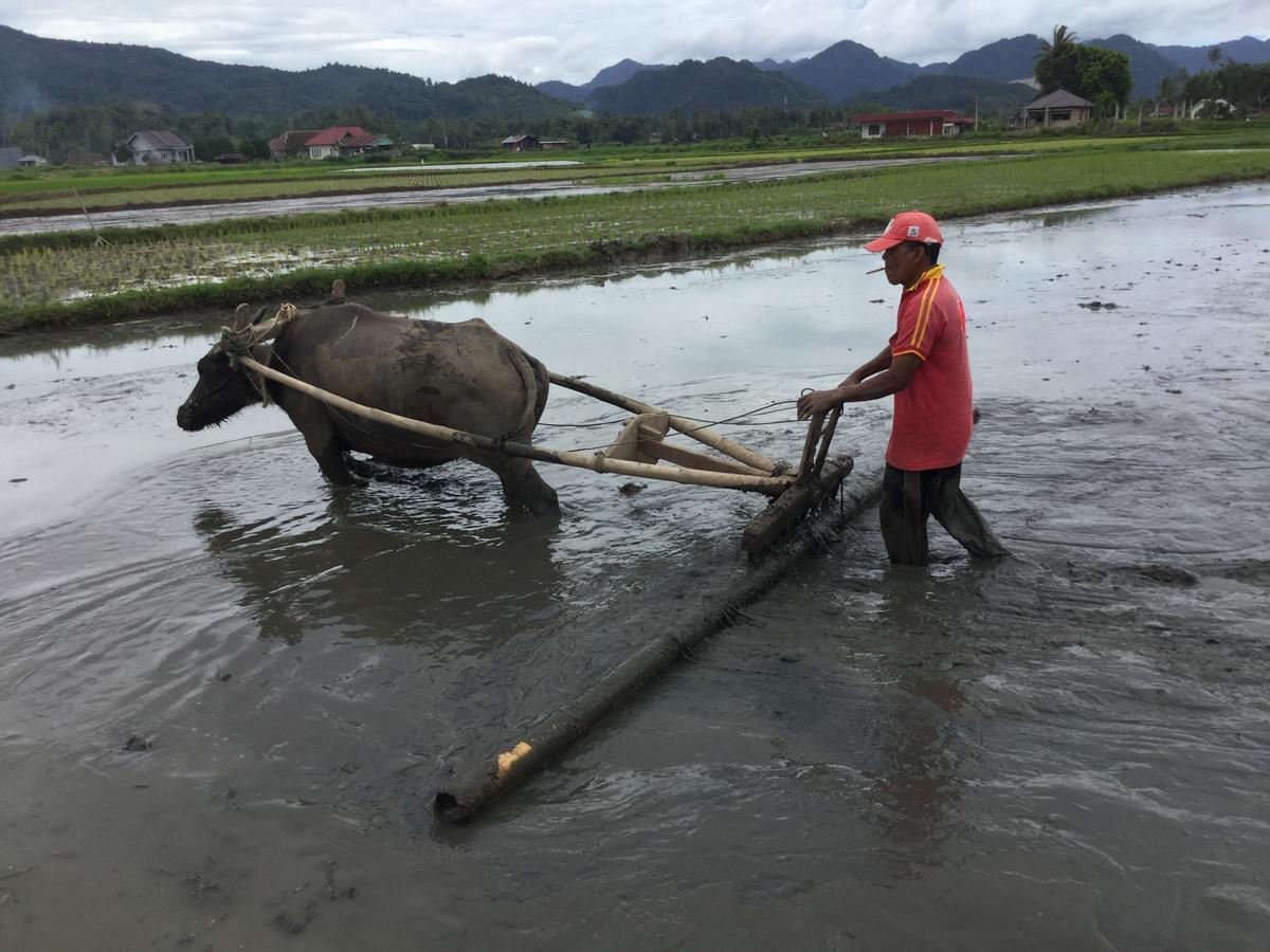 Rumah Pakankamih Bukittinggi Esterno foto