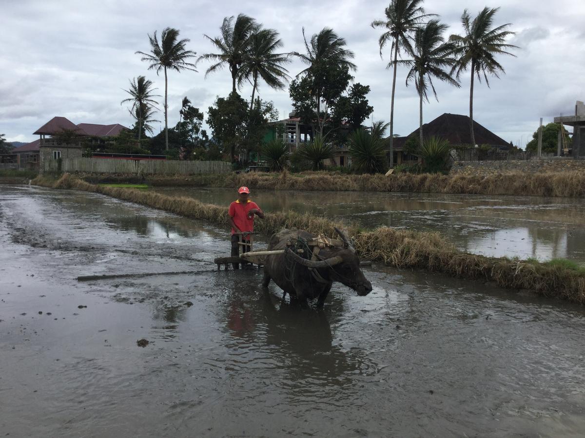Rumah Pakankamih Bukittinggi Esterno foto