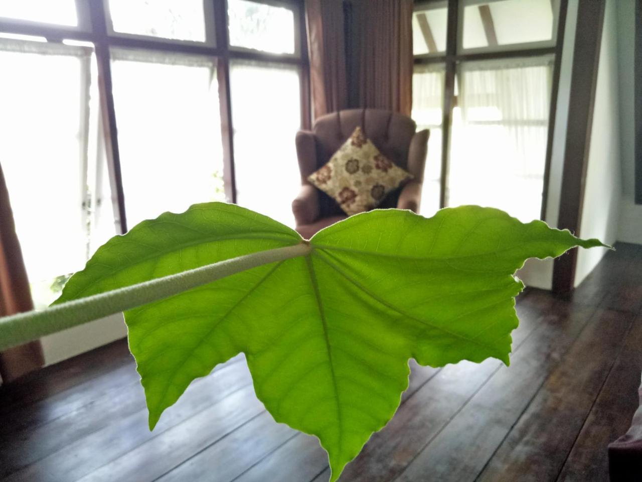 Rumah Pakankamih Bukittinggi Esterno foto